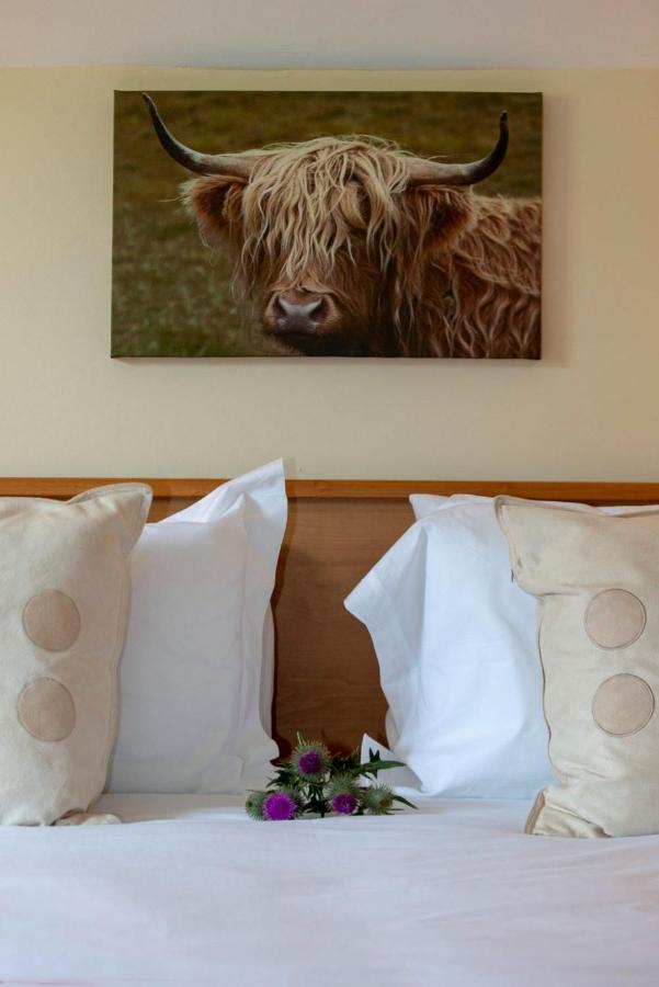 Springburn Farmhouse 스핀브리지 외부 사진